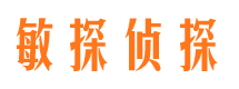 富裕私人侦探